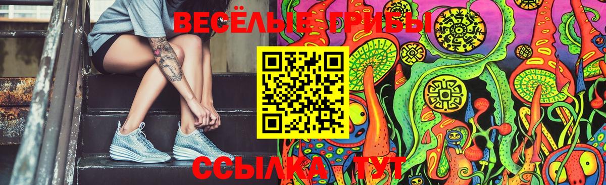 Нижнекамск  Псилоцибиновые грибы MAGIC MUSHROOMS  Псилоцибиновые грибы Cubensis  Вход с VPN 